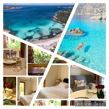 Nest House - Esclusivo Appartamento Marina Di Olbia- Mater Olbia - Beaches - Close To The Airport - Private Parking- Full Comforts - Exteriör bild
