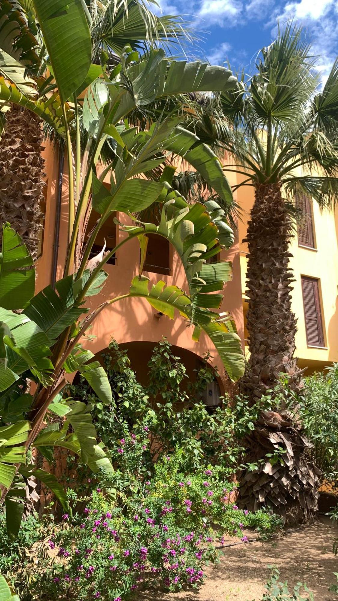 Nest House - Esclusivo Appartamento Marina Di Olbia- Mater Olbia - Beaches - Close To The Airport - Private Parking- Full Comforts - Exteriör bild